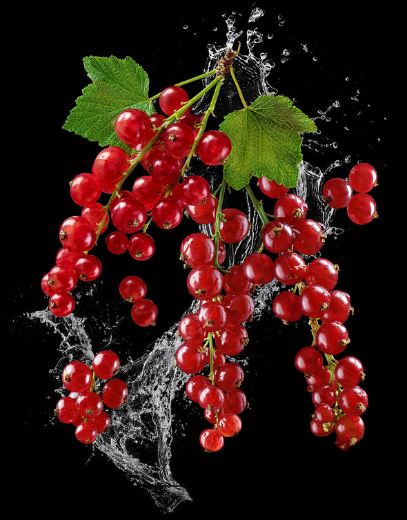 MoschinoBeauty_Funny_Ing01