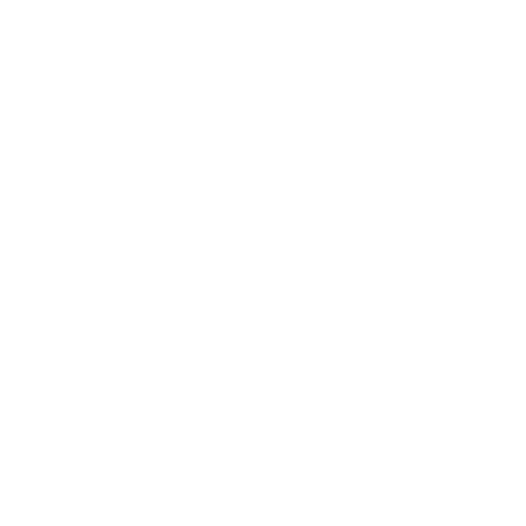 Toy Boy Logo