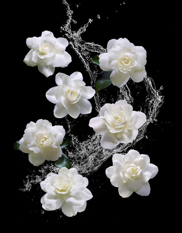 MoschinoBeauty_PourFemme_Ing02